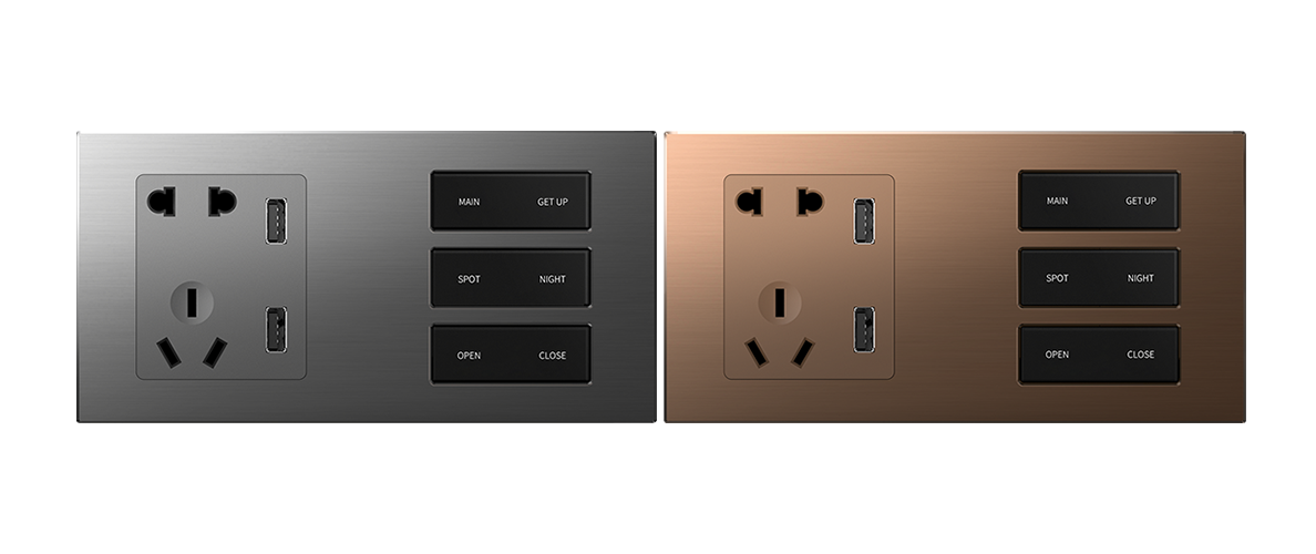 Socket+Keys Smart Switch 2 Gang