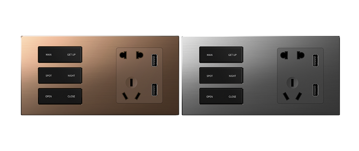 Keys+Socket Smart Switch 2 Gang